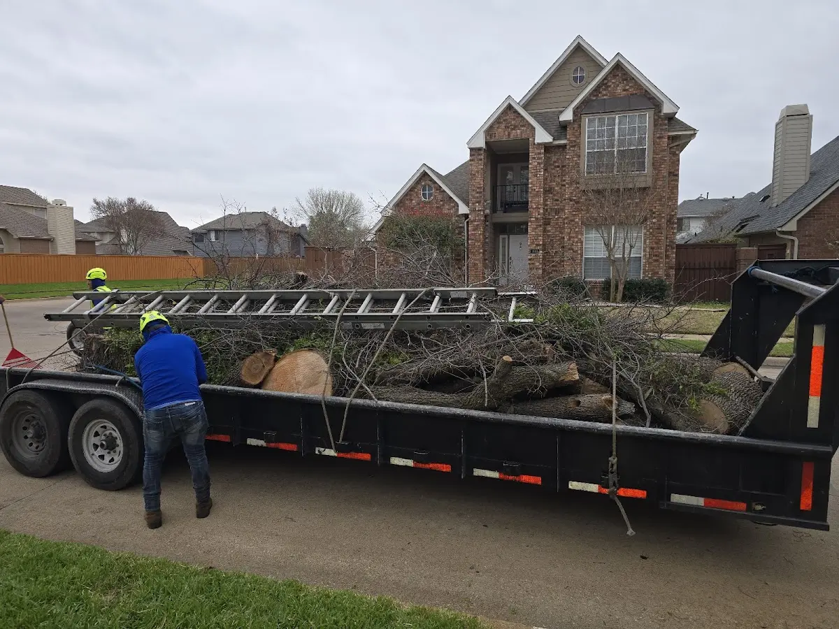 Expert Tree Pest Control with proper safety equipment in Thayer